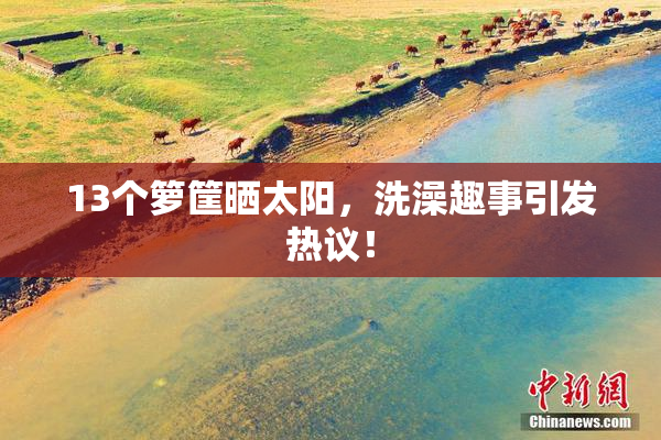 13个箩筐晒太阳，洗澡趣事引发热议！