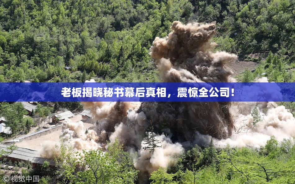 老板揭晓秘书幕后真相，震惊全公司！