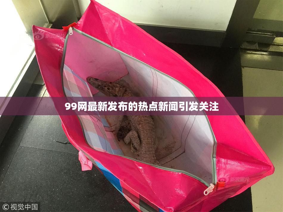 99网最新发布的热点新闻引发关注