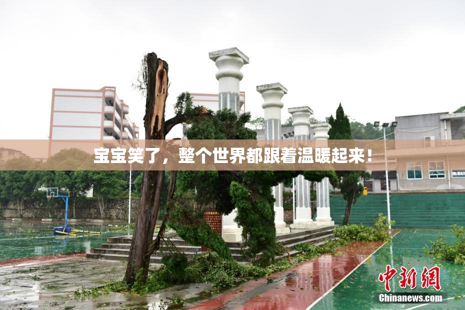 宝宝笑了，整个世界都跟着温暖起来！