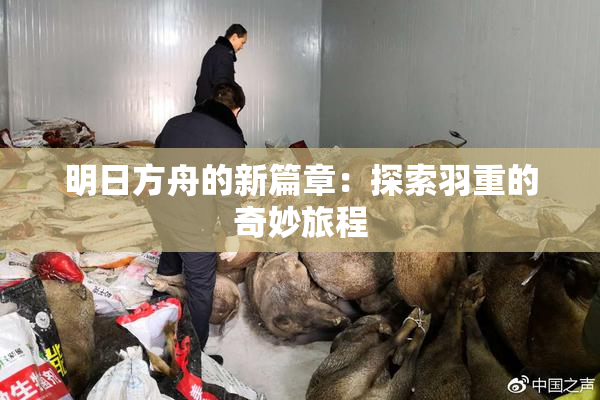 明日方舟的新篇章：探索羽重的奇妙旅程