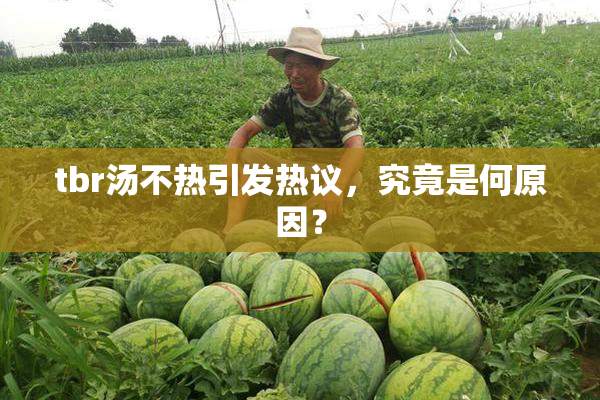 tbr汤不热引发热议，究竟是何原因？