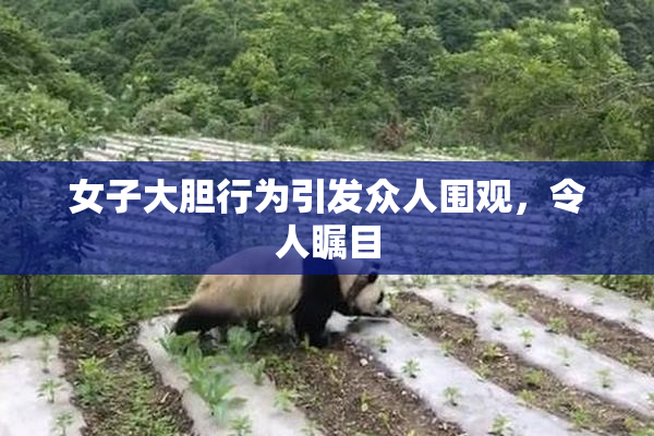 女子大胆行为引发众人围观，令人瞩目