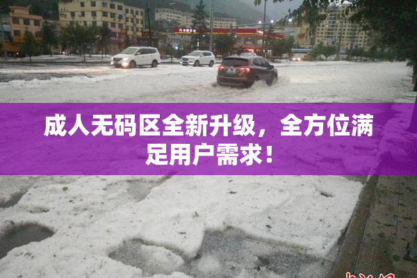 成人无码区全新升级，全方位满足用户需求！