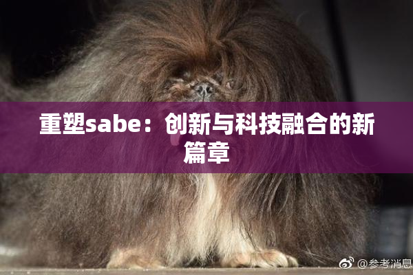 重塑sabe：创新与科技融合的新篇章