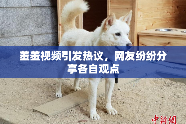羞羞视频引发热议，网友纷纷分享各自观点