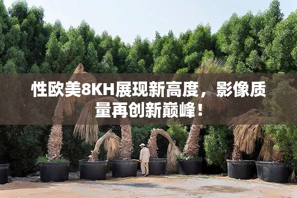 性欧美8KH展现新高度，影像质量再创新巅峰！