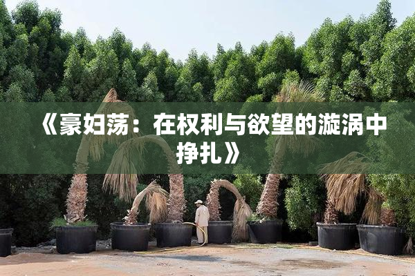 《豪妇荡：在权利与欲望的漩涡中挣扎》