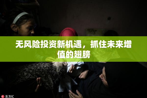 无风险投资新机遇，抓住未来增值的翅膀