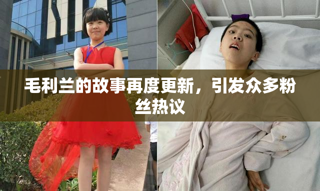 毛利兰的故事再度更新，引发众多粉丝热议