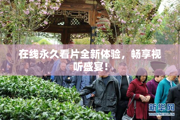 在线永久看片全新体验，畅享视听盛宴！