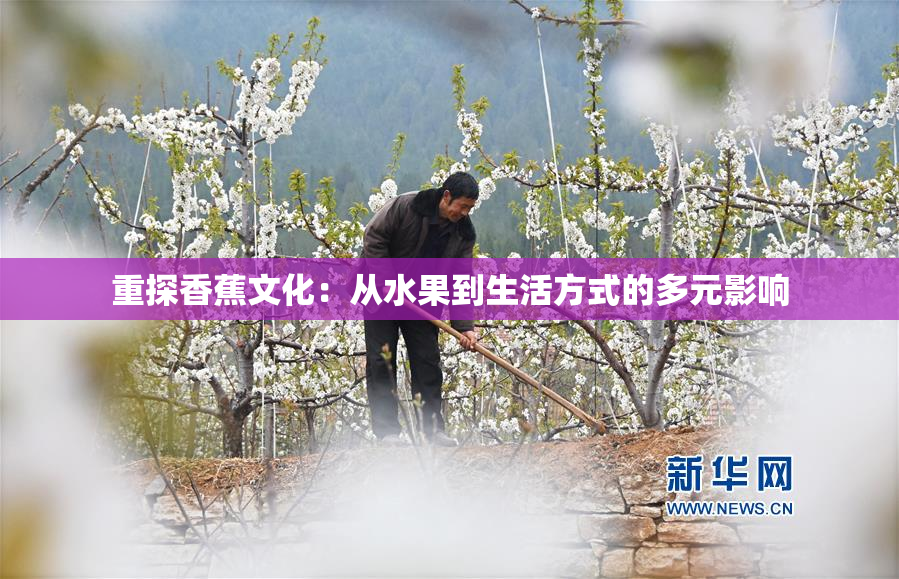 重探香蕉文化：从水果到生活方式的多元影响
