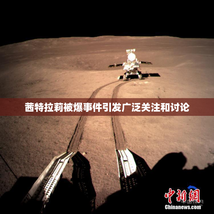 茜特拉莉被爆事件引发广泛关注和讨论