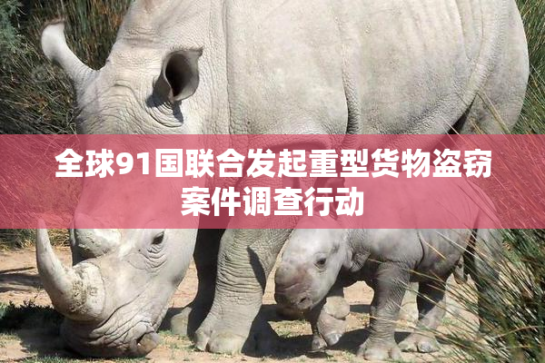 全球91国联合发起重型货物盗窃案件调查行动