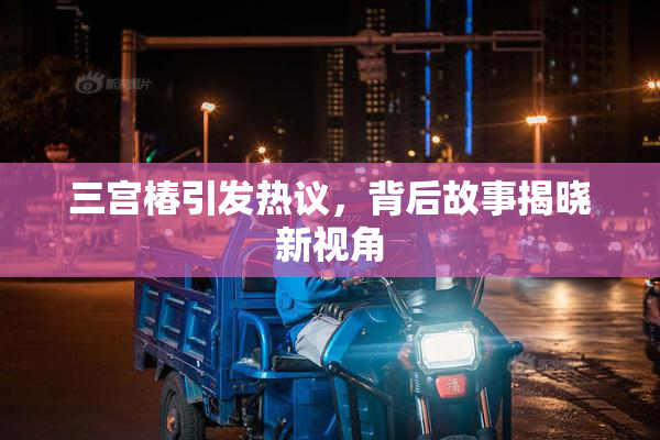 三宫椿引发热议，背后故事揭晓新视角