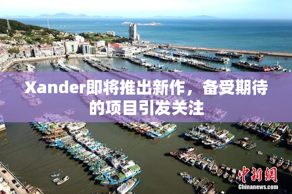 Xander即将推出新作，备受期待的项目引发关注