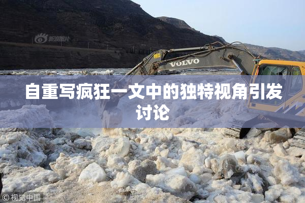 自重写疯狂一文中的独特视角引发讨论