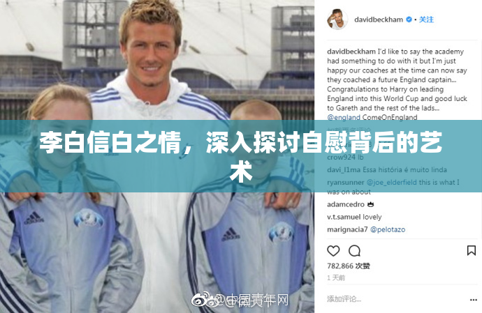 李白信白之情，深入探讨自慰背后的艺术