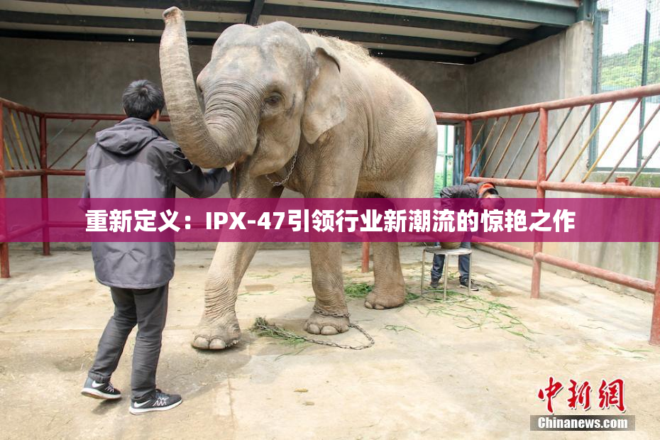重新定义：IPX-47引领行业新潮流的惊艳之作