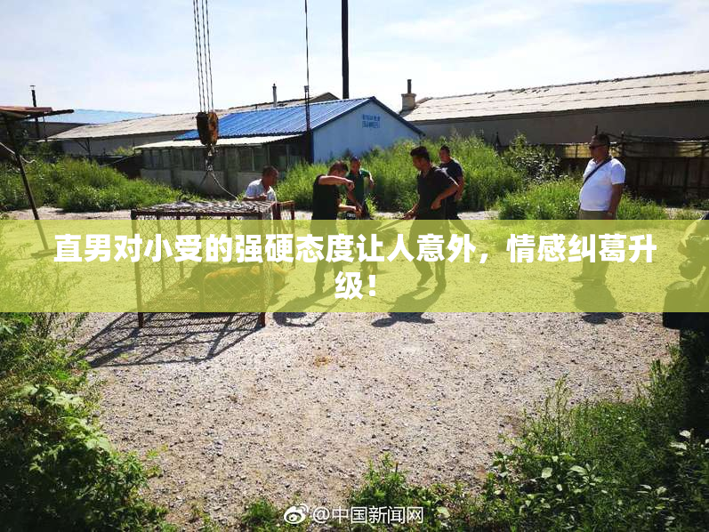 直男对小受的强硬态度让人意外，情感纠葛升级！