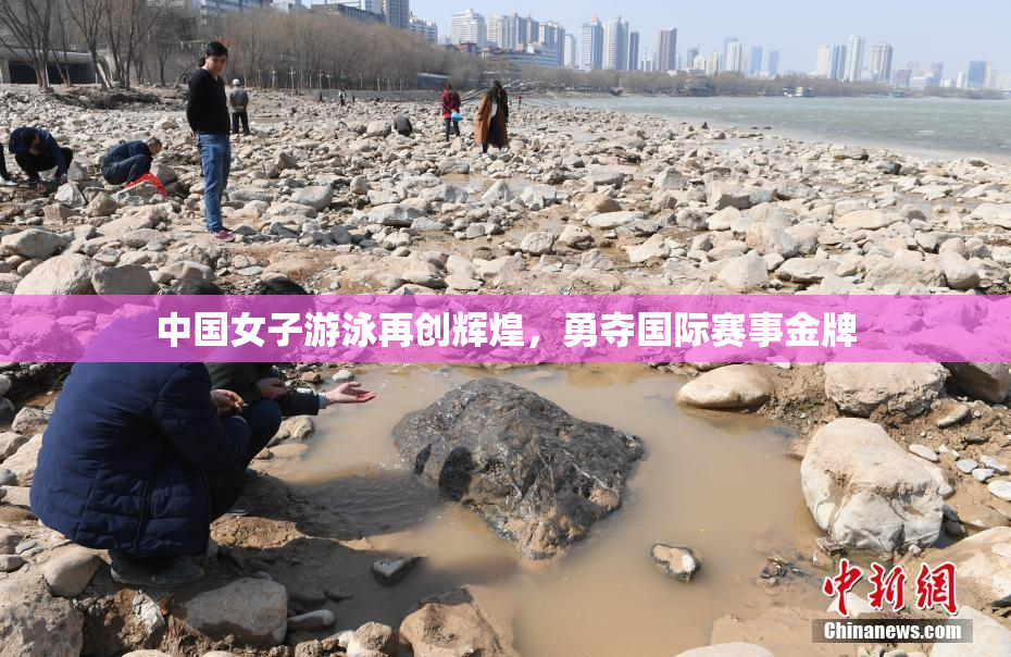 中国女子游泳再创辉煌，勇夺国际赛事金牌