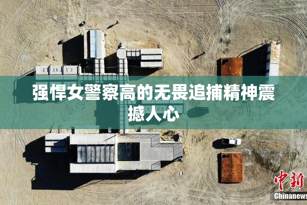 强悍女警察高的无畏追捕精神震撼人心