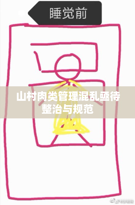 山村肉类管理混乱亟待整治与规范