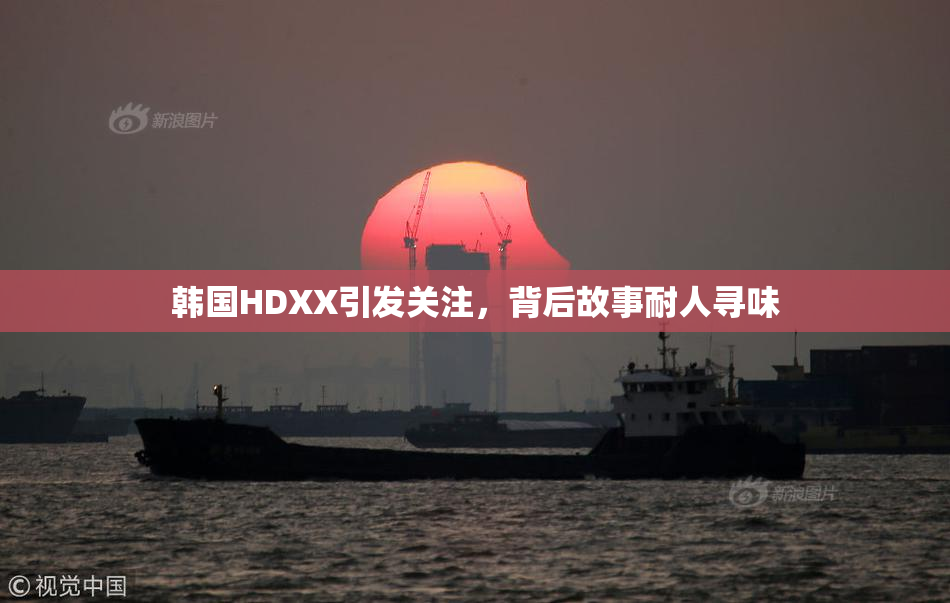 韩国HDXX引发关注，背后故事耐人寻味