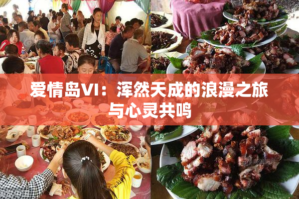 爱情岛VI：浑然天成的浪漫之旅与心灵共鸣