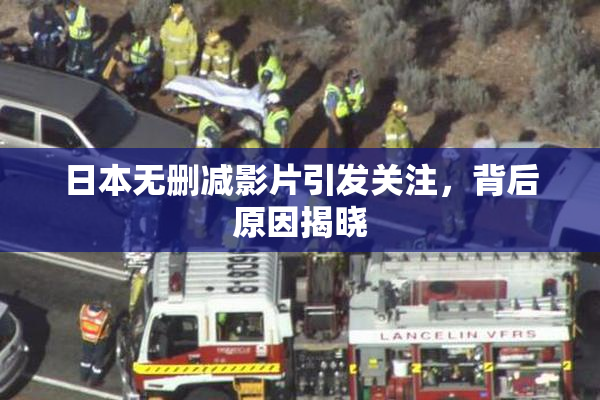 日本无删减影片引发关注，背后原因揭晓