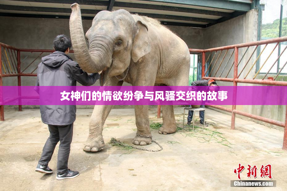女神们的情欲纷争与风骚交织的故事
