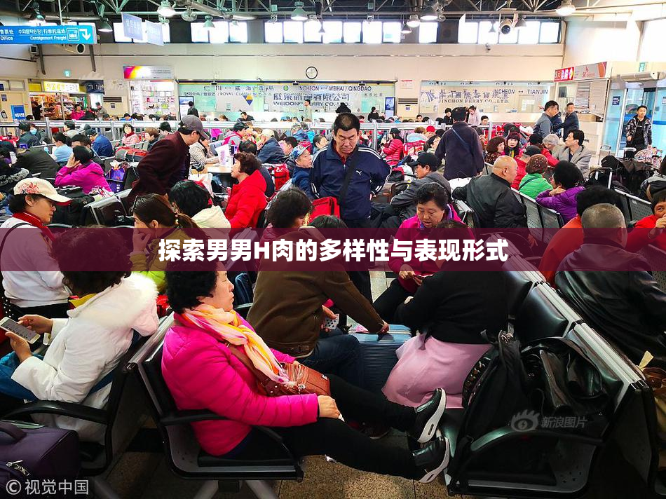 探索男男H肉的多样性与表现形式