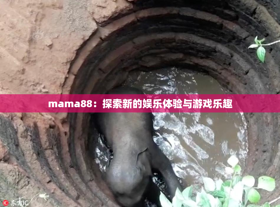 mama88：探索新的娱乐体验与游戏乐趣