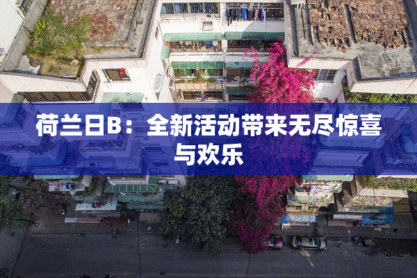 荷兰日B：全新活动带来无尽惊喜与欢乐