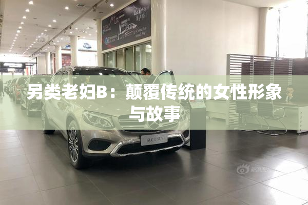 另类老妇B：颠覆传统的女性形象与故事