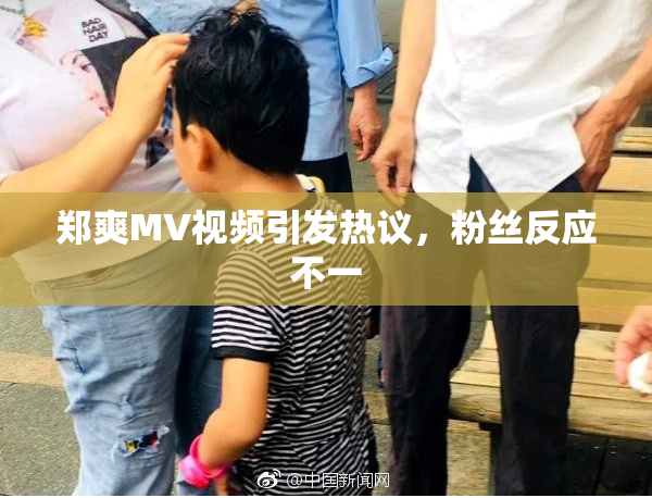 郑爽MV视频引发热议，粉丝反应不一