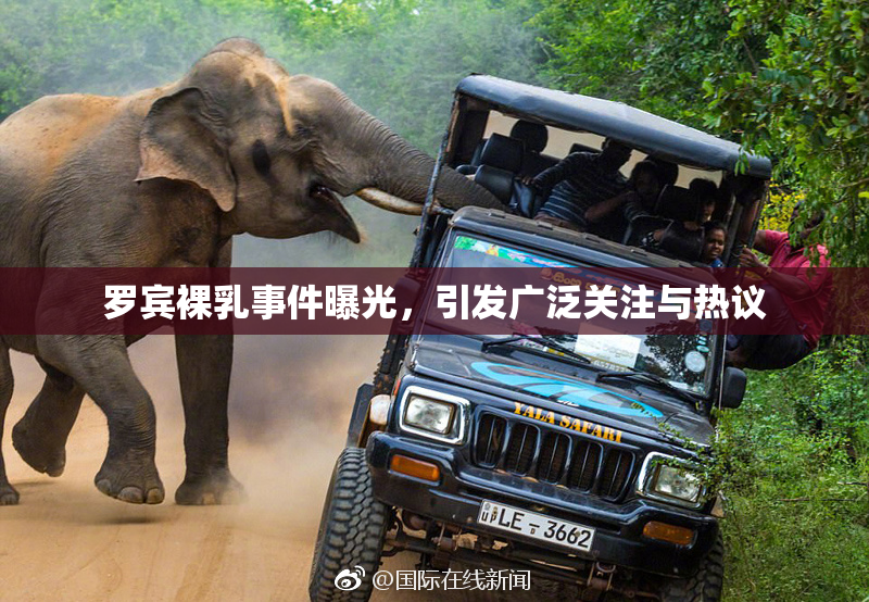 罗宾裸乳事件曝光，引发广泛关注与热议