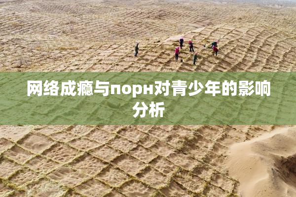 网络成瘾与порн对青少年的影响分析