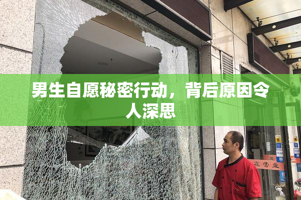 男生自愿秘密行动，背后原因令人深思