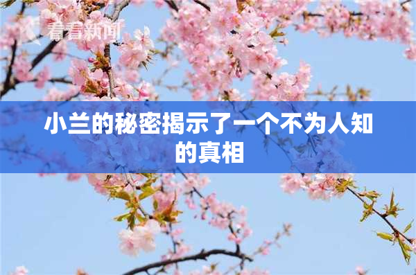 小兰的秘密揭示了一个不为人知的真相