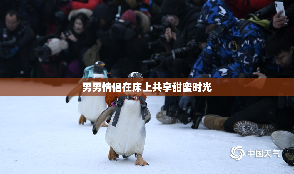 男男情侣在床上共享甜蜜时光