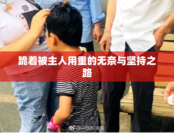跪着被主人用重的无奈与坚持之路