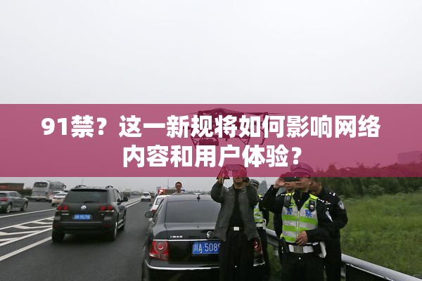 91禁？这一新规将如何影响网络内容和用户体验？