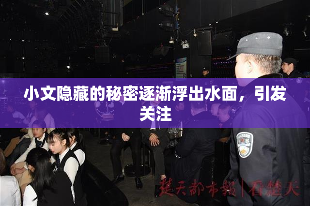小文隐藏的秘密逐渐浮出水面，引发关注
