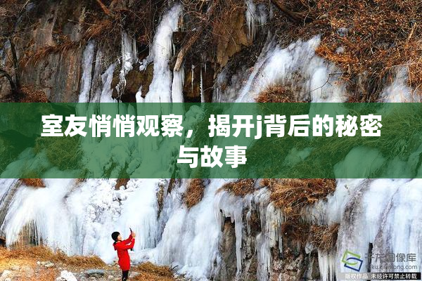 室友悄悄观察，揭开j背后的秘密与故事