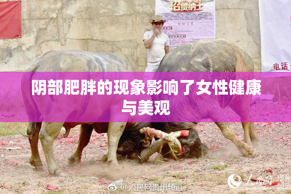 阴部肥胖的现象影响了女性健康与美观