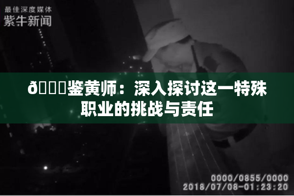 🔞鉴黄师：深入探讨这一特殊职业的挑战与责任