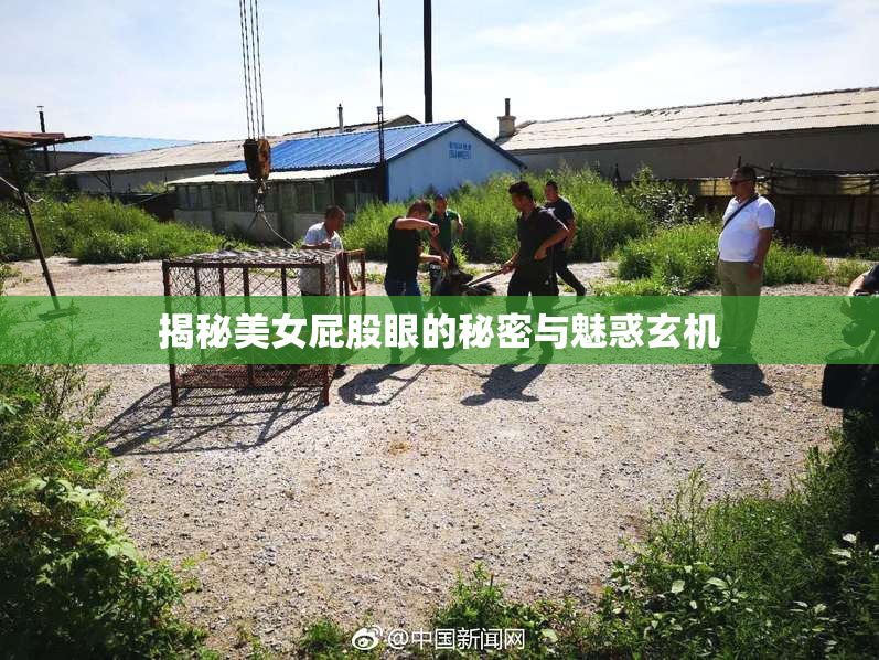 揭秘美女屁股眼的秘密与魅惑玄机