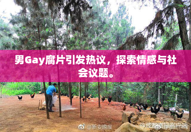 男Gay腐片引发热议，探索情感与社会议题。