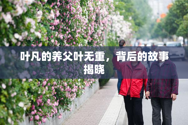 叶凡的养父叶无重，背后的故事揭晓
